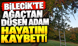 AĞAÇTAN DÜŞEN ADAM HAYATINI KAYBETTİ