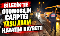 BİLECİK'TE OTOMOBİLİN ÇARPTIĞI ADAM HAYATINI KAYBETTİ