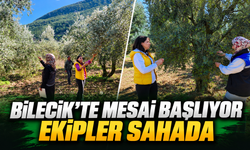 ZEYTİN VE ZEYTİNYAĞI REKOLTESİ İÇİN SAHA ÇALIŞMASI