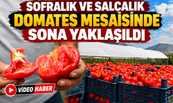 SOFRALIK VE SALÇALIK DOMATES MESAİSİNDE SONA GELİNDİ
