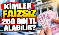 KİMLER FAİZSİZ 250 BİN TL ALABİLİR