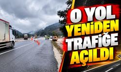 O YOL YENİDEN TRAFİĞE AÇILDI