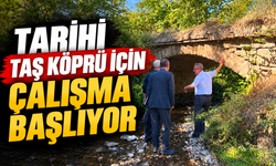TARİHİ TAŞ KÖPRÜ İÇİN ÇALIŞMA BAŞLIYOR