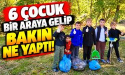 MAHALLELERİNİ TEMİZLEMEK İÇİN KOLLARI SIVADI