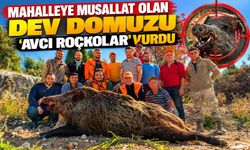 MAHALLEYE MUSALLAT OLAN DEV DOMUZU 'AVCI ROÇKOLAR' VURDU
