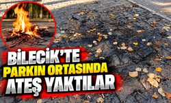 PARKIN ORTASINDA ATEŞ YAKTILAR