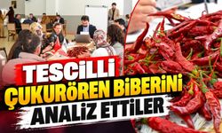 TESCİLLİ 'ÇUKURÖREN BİBERİ ANALİZ ÇALIŞTAYI' GERÇEKLEŞTİRİLDİ