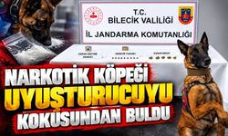 NARKOTİK KÖPEĞİ UYUŞTURUCUYU KOKUSUNDAN BULDU