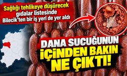 SAĞLIĞI TEHLİKEYE DÜŞÜRECEK GIDALAR LİSTESİNDE BİLECİK'TEN BİR İŞ YERİ DE YER ALDI