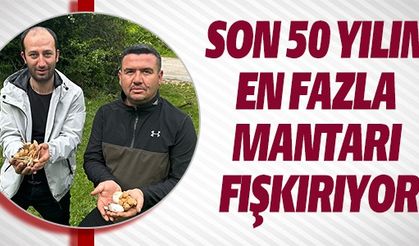 SON 50 YILIN EN FAZLA MANTARI ÇIKIYOR