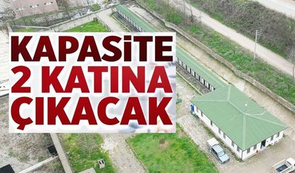 SOKAK HAYVANLARI İÇİN ÖNEMLİ ADIMLAR ATACAKLAR