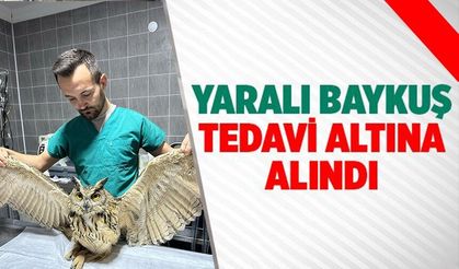 OSMANELİ BELEDİYESİ YARALI BAYKUŞU TEDAVİ ALTINA ALDI