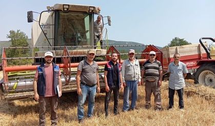 GÖLPAZARI'NDA HASAT KONTROLLERİ TÜM HIZIYLA SÜRÜYOR