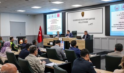 OKUL GÜVENLİĞİ MASAYA YATIRILDI