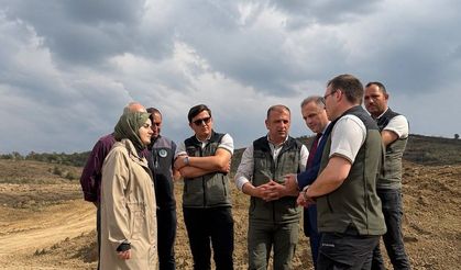 YANGIN SAHALARINDA AĞAÇLANDIRMA ÇALIŞMALARI İNCELENDİ