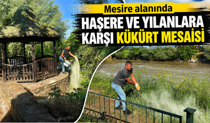 MESİRE ALANINDA HAŞERE VE YILANLARA KARŞI KÜKÜRT MESAİSİ