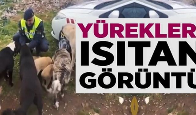 YÜREKLERİ ISITAN GÖRÜNTÜ