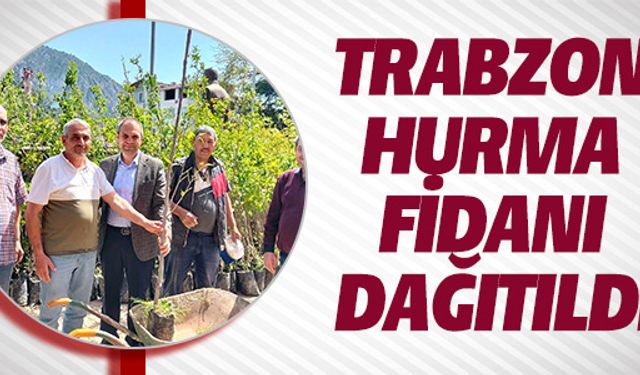 TRABZON HURMA FİDANI DAĞITILDI