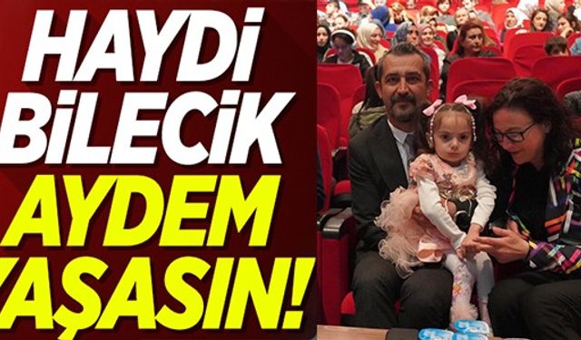 HAYDİ BİLECİK AYDEM YAŞASIN!