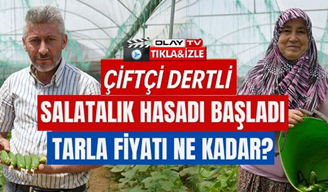 SALATALIK HASADI BAŞLADI