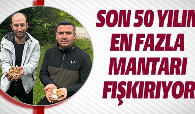 SON 50 YILIN EN FAZLA MANTARI ÇIKIYOR