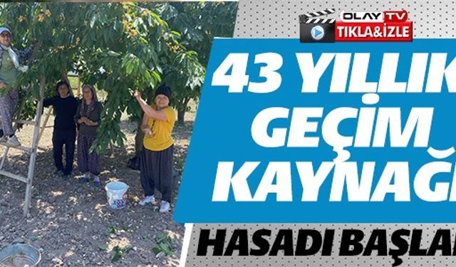 43 YILLIK GEÇİM KAYNAĞI