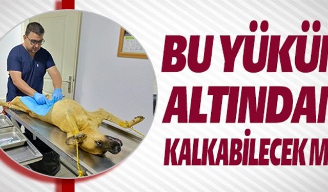 BU YÜKÜN ALTINDAN KALKABİLECEK Mİ?