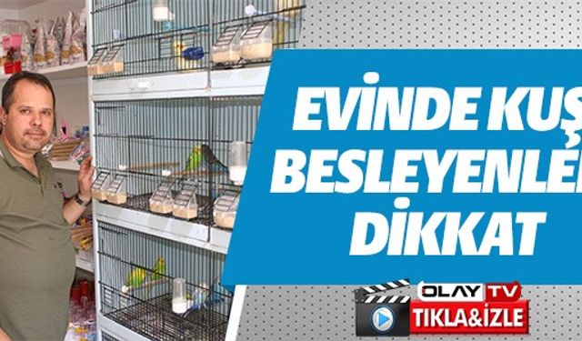 EVİNDE KUŞ BESLEYENLER DİKKAT!