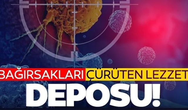 BAĞIRSAKLARI ÇÜRÜTEN LEZZET DEPOSU