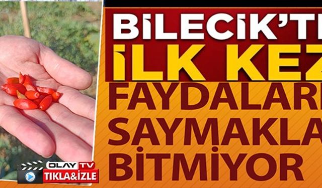 BİLECİK'TE İLK KEZ!