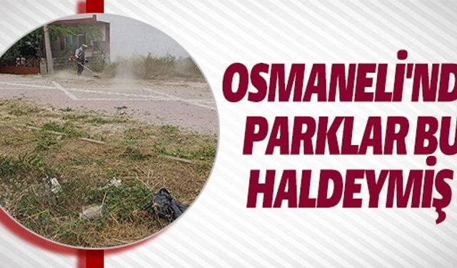 OSMANELİ'NDE PARKLAR BU HALDEYMİŞ