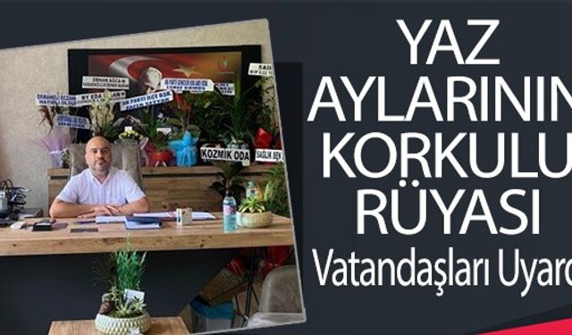 YAZ AYLARININ KORKULU RÜYASI