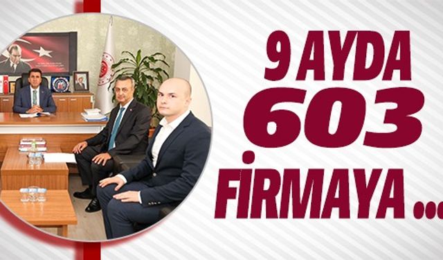 9 AYDA 603 FİRMAYA...