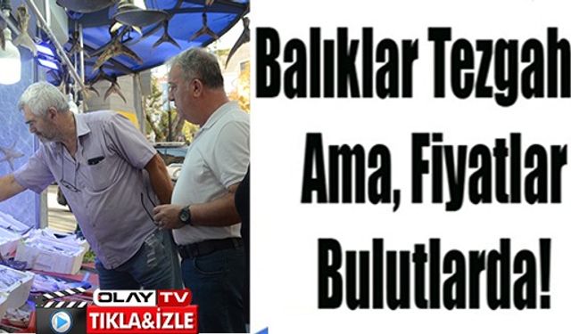 BALIKLAR TEZGAHTA AMA FİYATLAR BULUTLARDA