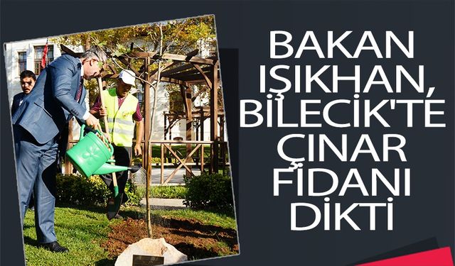 BAKAN IŞIKHAN, BİLECİK'TE ÇINAR FİDANI DİKTİ