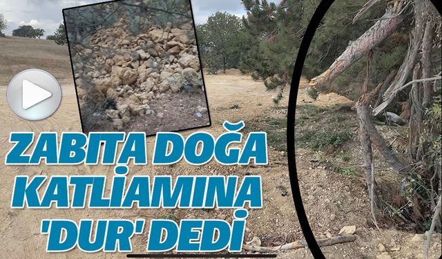 ZABITA DOĞA KATLİAMINA 'DUR' DEDİ