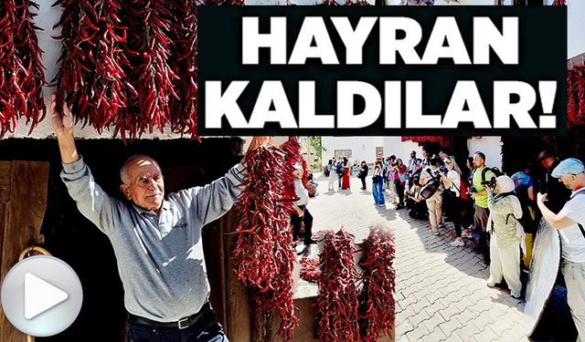 HAYRAN KALDILAR!