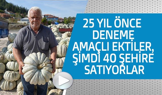 25 YIL ÖNCE DENEME AMAÇLI EKTİLER ŞİMDİ 40 ŞEHİRE SATIYORLAR