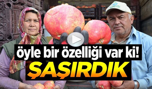 ÖYLE BİR ÖZELLİĞİ VAR Kİ! ŞAŞIRDIK