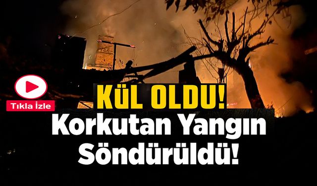 BİLECİK'TE KORKUTAN YANGIN: BİR EVDE ÇIKAN YANGIN DİĞER EVLERE SIÇRADI