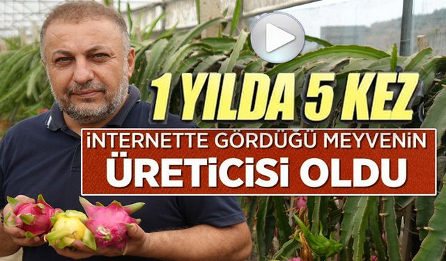 İNTERNETTE GÖRDÜĞÜ MEYVENİN ÜRETİCİSİ OLDU