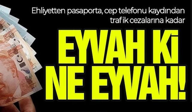 TELEFON VE EHLİYETE YENİ TARİFE! VERGİ, HARÇ VE CEZALARA ZAM YAĞDI