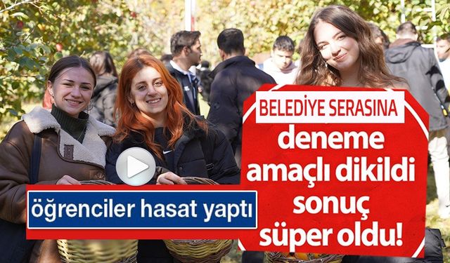 DENEME AMAÇLI DİKİLDİ SONUÇ SÜPER OLDU