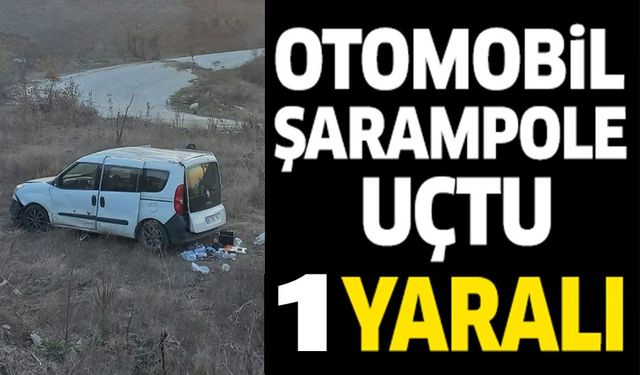 KONTROLDEN ÇIKAN ARAÇ ŞARAMPOLE UÇTU: 1 KİŞİ YARALANDI