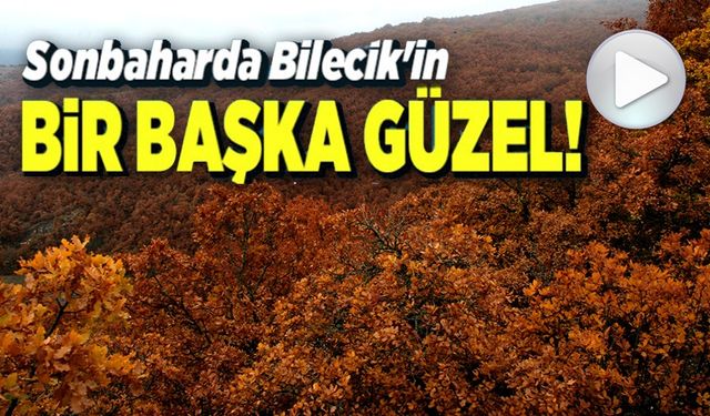 BİLECİK'TE SONBAHAR MANZARALARINI GÖRENLER HAYRAN KALIYOR