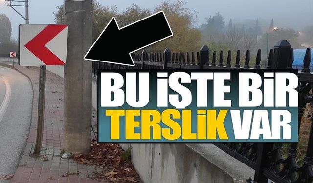 BİLECİK'TE YAYALARI İSYAN ETTİREN GÖRÜNTÜ