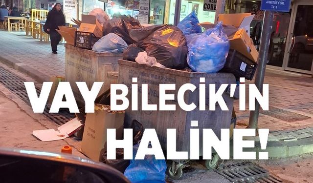 BİLECİK'TE ÇÖP KRİZİ YENİDEN BAŞLADI