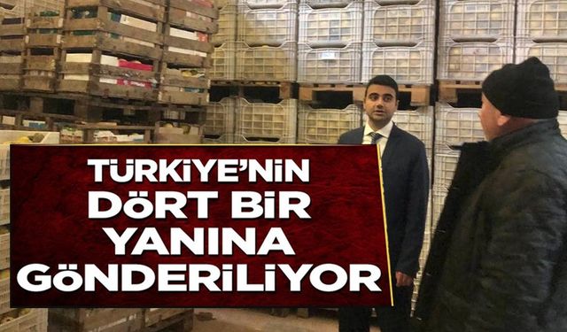 TÜRKİYE'NİN DÖRT BİR YANINA GÖNDERİLİYOR