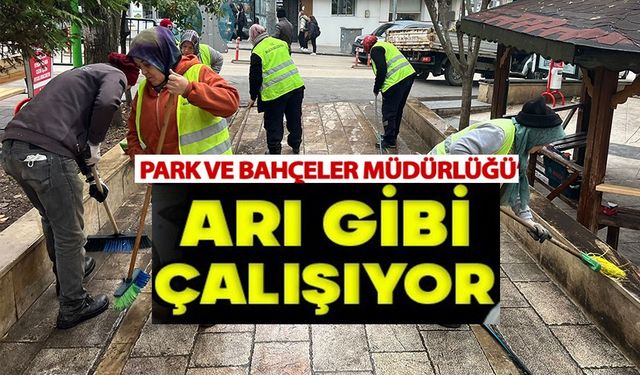 BİLECİK BELEDİYESİ'NDEN PEYZAJ DÜZENLEMELERİ