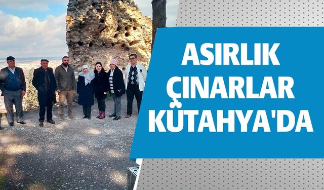 ASIRLIK ÇINARLAR KÜTAHYA'DA